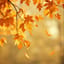 Chant d’automne   Ver.1