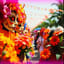 Carnaval Todo El Año