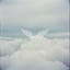 Rise Above