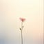 Silent Artificial Flower