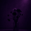 💜🖤│ ╰(/ 99% HATE ME)-->──╮