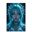 **VORTEX (simplifier) 