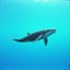 AIWS_2025_231_Fat But Fast" (The Whale's Groove) (Cover)
