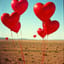 Make Love Not War