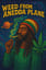 Weed From Anedda Plane (TTL 420 Challenge)
