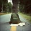 Traveler's Luggage