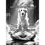 Nico´s Dream - Dog Meditation