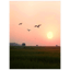 1499 At dawn's early light (Morgengrauen)_Edit