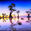 ... en reflet gisant