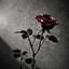 Meglio Non Rispondere (Better Not to Answer)
