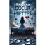 Cœur en Miettes *Remix*