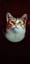 🎸 🐈 고양이와 여자 –“The Cat and the Woman ”