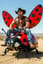 Chuck Norris