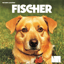My Dog Fischer