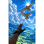 Everyone Has a Dream