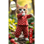 「Eisa☆Hoisa♪」① #猫軍団仮装パレード
