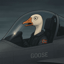Goose