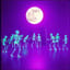 The Haunted Hop (Cover)