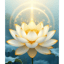 Om — Light of Creation