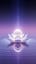 Secret Place of Light