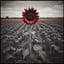 “Rib Bones” (Sisters of Mercy Cover) -1-