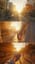 Rayons de Groove