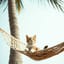 Conscience On Sabbatical
