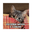 Позови Кота с Собой (Remix)