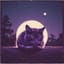 HOUSE CAT (Cover) (Cover)