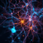 Synapse
