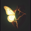 🦋Cœur solitaire