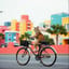 cat on a bike https://www.youtube.com/watch?v=GzA-3H46-rk