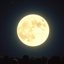 Vollmond