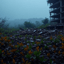 Hollow Skies