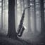 Somebody in the fog