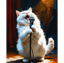 Meow Groove