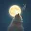 Catnip music v. Lo-Fi