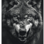 Vlk (Italo Disco 80´s Wolf Super Mix)
