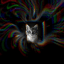Purranoid