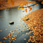 Glass River