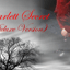 Scarlett Windows (Deluxe Version)