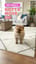 Gotta move on(犬の歌)