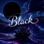 “Black Rose” - ( a la Led Zeppelin - Duet )