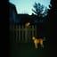 A Dog's Right