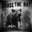 Chase the Rat