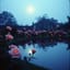 TULUS 4 (Cover)