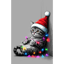 #Новогоднее чудо🎄🐈⬛🎁