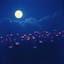  Juste toi, moi et la lune