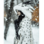 Whisper To Winter