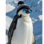 Brrrrr....